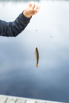 Barn som fångat en fisk.