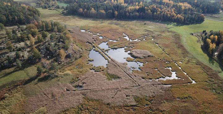 Sjöängen, även kallad Hagerstorpssjön, var tidigare en sjö med grunda översvämningsområden. I slutet av 1800-talet sänktes sjön för att skapa mer jordbruksmark. Nu, över hundra år senare, ska vattnet få ta plats igen.