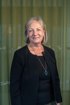 Ann-Charlotte Sundelin, tandvårdsdirektör