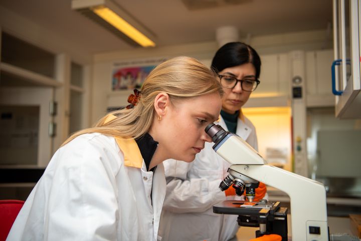 Tandläkaren Julia Novo är en av de unga medarbetare som fått chans att prova på forskning. Här tillsammans med sin handledare Farah Asaad från Göteborgs universitet.