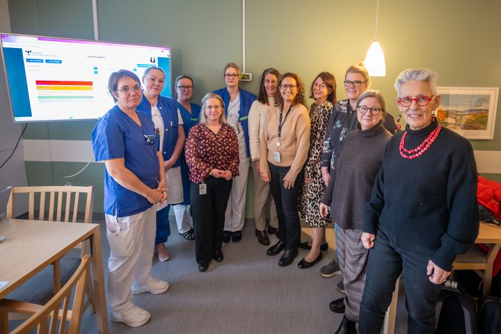 Från vänster i bild: Jeanette Billström, sektionsledare/sjuksköterska hematologiavdelningen, Åsa Eklund, sektionsledare, hematologiavdelningen, Minna Källgård, undersköterska, reumatologimottagningen, Anna Morgan, undersköterska, reumatologimottagningen, Malin Lysfoss Gunnerfeldt, verksamhetsutvecklare , Karin Jacobsson, strateg, koncernstab Digitalisering, Koncernkontoret, Graciela Carlson, strateg patientsäkerhet och medicinsk krisberedskap, koncernstab uppdrag och produktion av hälso- och sjukvård, Koncernkontoret, Annette Trenge Jarlshammar, utvecklingschef och chefläkare, Skaraborgs Sjukhus, Kristina Wollter, Scrum Master Information och arkivering, Koncernkontoret, Karin Hult, verksamhetsutvecklare, Skaraborg Sjukhus, och Marga Brisman, medicinsk rådgivare, avdelning patientsäkerhet och medicinsk Krisberedskap, koncernstab uppdrag och produktion hälso- och sjukvård, Koncernkontoret.