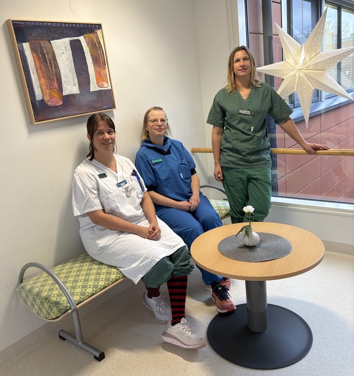 Sektionsledarna vid Operation Lidköping: Linda Johansson, pre-/postop, Maria Sannetorp Julin, operation, och Johanna Edlund, anestesi.