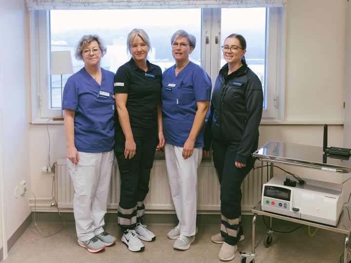 Från vänster: Maria Johansson, Åsa Hedihn, Ann Karlsson och Emelie Karlsson.