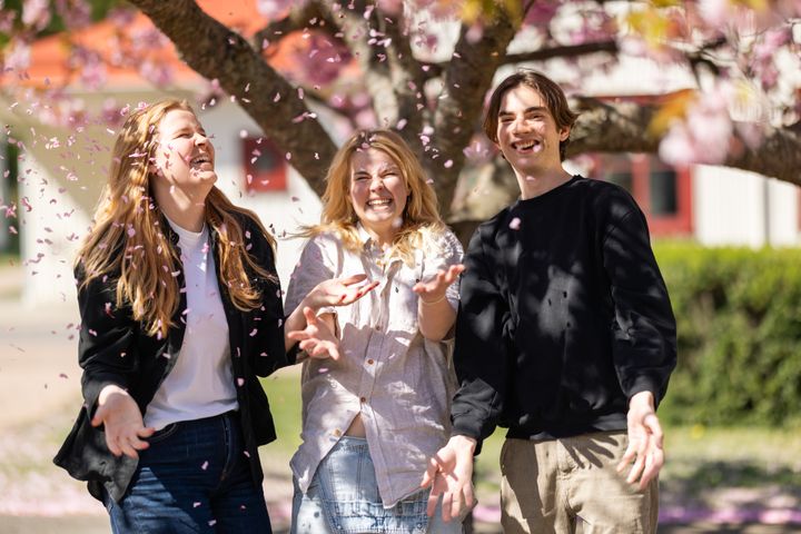 Tre glada personer står utomhus under ett blommande träd och kastar blomblad.