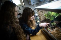 Alvira och Signe tittar in i terrariet