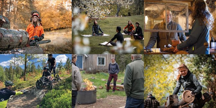 Ett kollage av kvinnor och män som gör olika aktiviteter i skogen