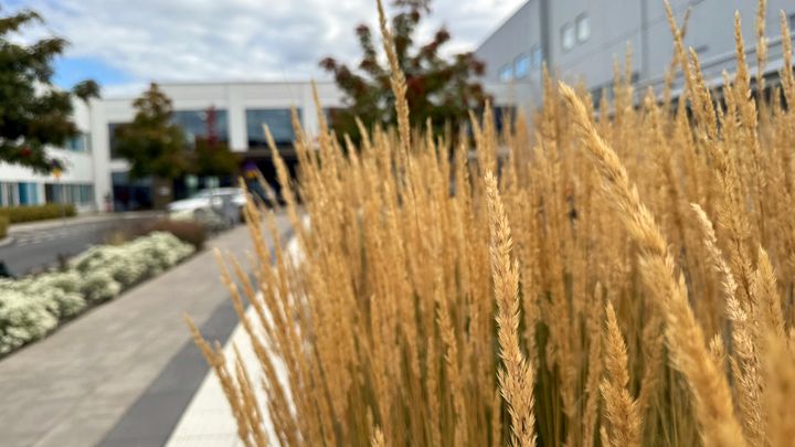 Nyinvigning av promenadslinga på Skaraborgs sjukhus i Skövde