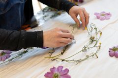 Färgning med växter.