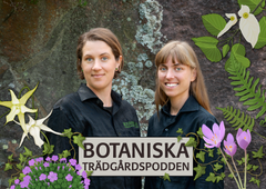 Två kvinnor i svarta skjortor står framför en stenmur. Runt dem finns illustrationer av blommor och blad. Texten "Botaniska Trädgårdspodden" syns på bilden.