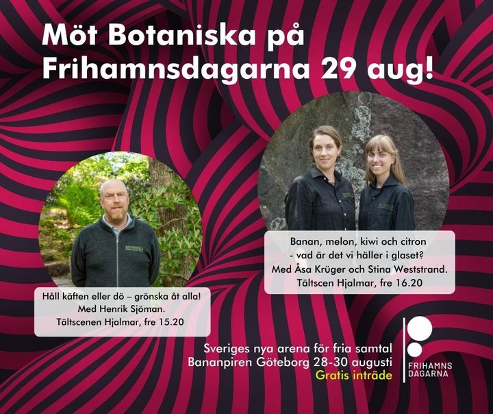 Affisch för Frihamnsdagarna 2025 med information om Botaniskas deltagande och två evenemang med talare.