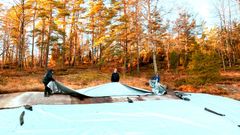 Den 5 april blir det hällristningssläpp på Vitlycke museum! Då tas övertäckningen av Vitlyckehällen, som skyddat den över vintern.