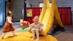 Djuren i staden, pressbild 2025