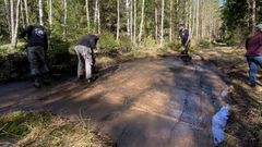 Hällristning Litsleby, återupptäckt april 2026.