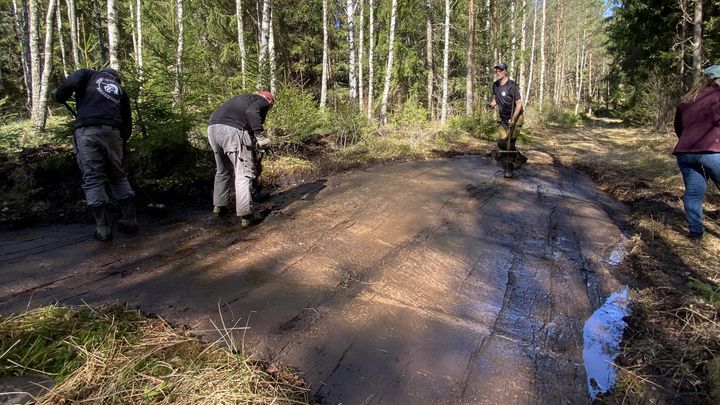 Hällristning Litsleby, återupptäckt april 2026.