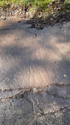 Hällristning Litsleby, återupptäckt april 2026