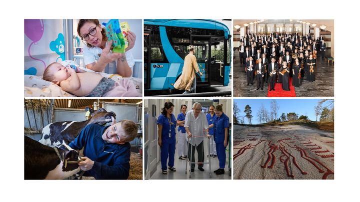 Ett collage med sex bilder som speglar Västra Götalandsregionens verksamheter som hälso- och sjukvård, kollektivtrafik, utbildning och kultur.