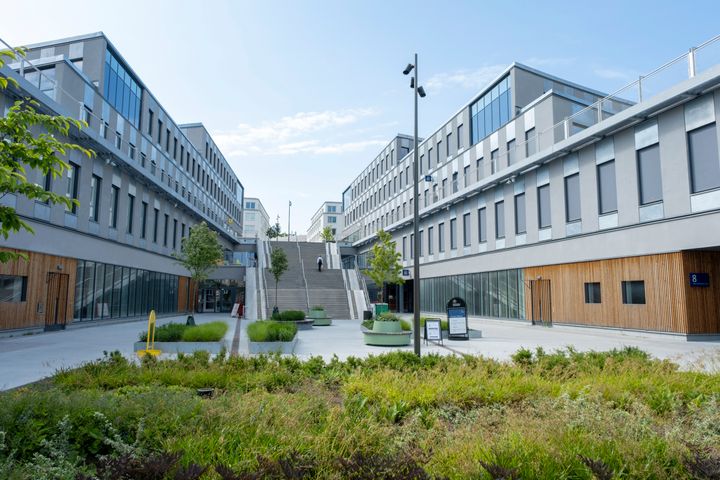 En modern byggnadskomplex med kontorsliknande strukturer och gröna växter i förgrunden.