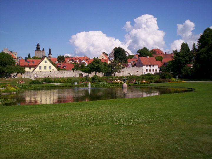 Bild av Almedalen i Visby med gräs, en damm och stadens ringmur i bakgrunden.