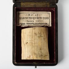 SOUVENIR, DEL AV MAMMUTBETE FUNNEN UNDER VEGAEXPEDITIONEN.