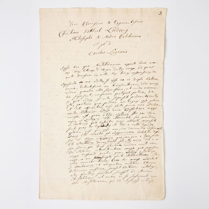 Carl von Linné (1707–1778) räknas som en av vetenskapshistoriens mest inflytelserika personer. Hans brev till den tyske läkaren och botanikern Christian Gottlieb Ludwig, daterat den 22 januari 1737, såldes på måndagskvällen för 1 875 000 kronor – det högsta slutpris som någonsin noterats för ett svenskt brev på auktion i Sverige.