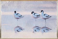 LARS JONSSON. Skärfläckor.