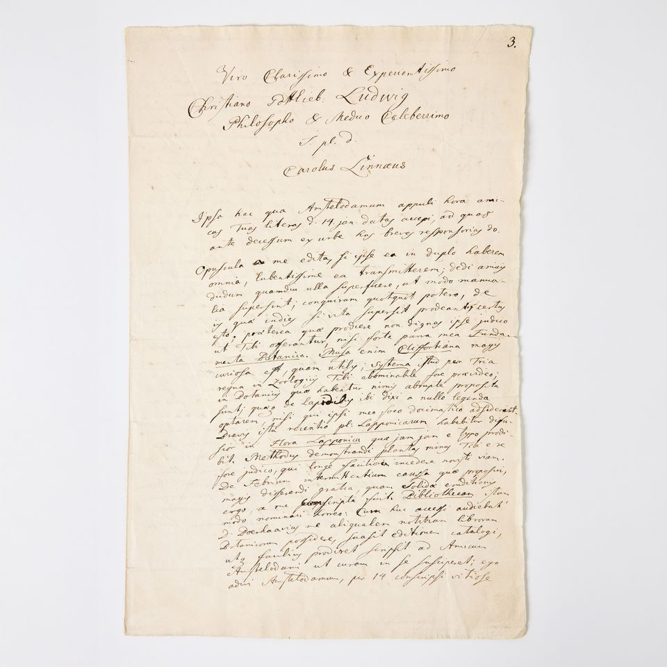 Carl Linnaeus letter sells for record price – most valuable Swedish ...