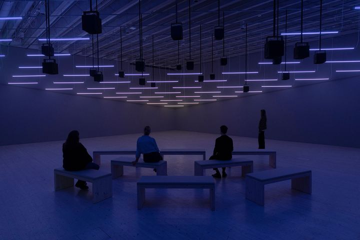 Alexandra Daisy Ginsberg's Machine Auguries visas på Bildmuseet 2024–2025. © Alexandra Daisy Ginsberg Ltd.