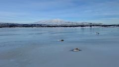 En frusen sjö med snöklädda fjäll i bakgrunden i Stordalen, Abisko.