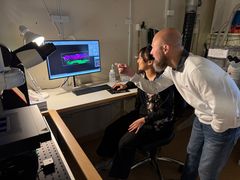 Björn pekar på skärmen