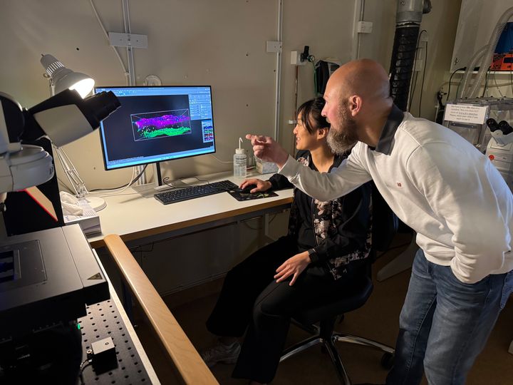 Björn pekar på skärmen