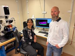 De står framför dator