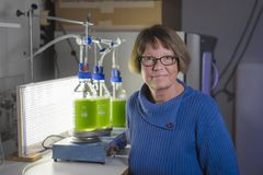 Christiane Funk, professor vid Kemiska institutionen, Umeå universitet