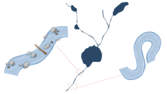 Illustration av vattendrag