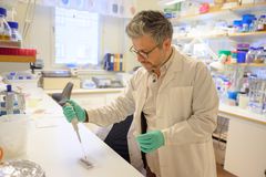 Kemal Avican, forskare vid Institutionen för molekylärbiologi, Umeå universitet