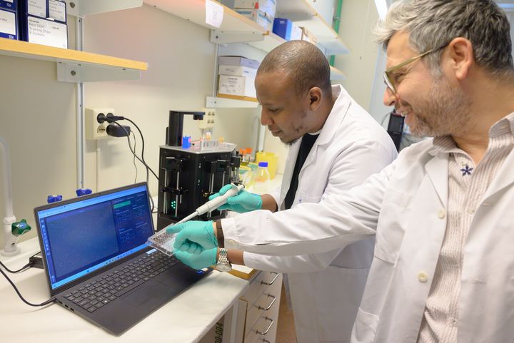 Forskningen visar på nya sätt att bekämpa ihållande infektioner som är en stor utmaning inom sjukvården.