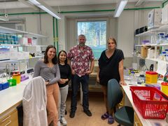 Forskarna på rad i labb