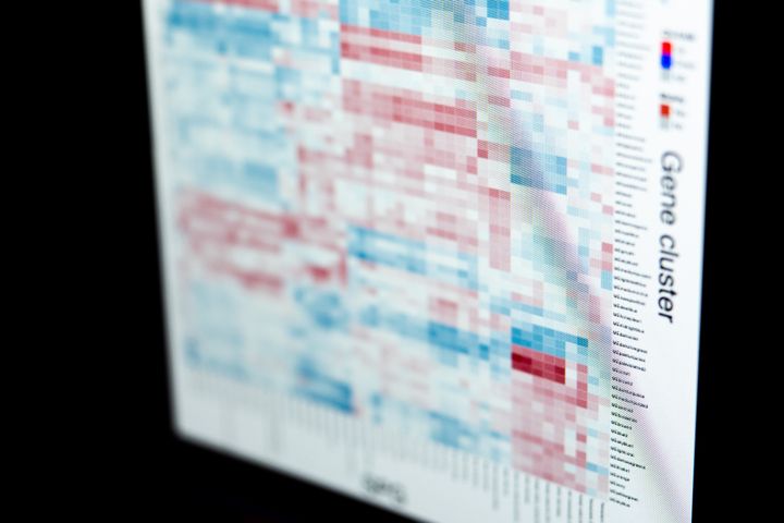 Bild på datorskärm med genetisk data