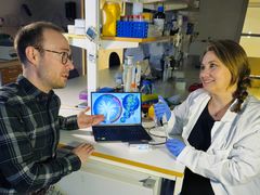 Arkiverade luftfilter från förr har blivit en oväntad guldgruva för forskarna. Här samlas DNA-spår som visar hur ekosystemet förändrats under decennier. Daniel Svensson och Anna-Mia Johansson är båda medförfattare till studien.