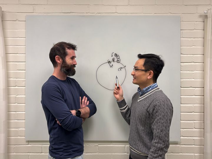 Läckor i cellens lysosomer kan vara livsfarliga. Forskarna Yaowen Wus och Dale Corkerys upptäckt kan hjälpa till att förstå och förebygga sjukdomar som Alzheimer.