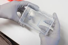 En närbild på  hur proteiner görs synliga i en gel.