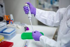 Bilden visar arbete på laboratorium