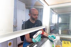 Doktorand Andres Garrido Aparicio arbetar i dragskåpet. Han är fascinerad av de mekanismer som styr epigenetisk reglering och hur de formar genuttryck under cellutvecklingen.