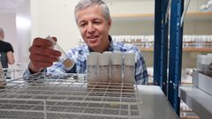 Alla celler i kroppen har samma gener. Men i varje enskild celltyp är det bara vissa gener som används. Yuri Schwartz, universitetslektor vid Umeå universitet, studerar de epigenetiska processer som avgör vilka gener som är tysta eller aktiva i kroppens celler.