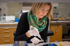 Kotryna Simonyte Sjödin, molekylärbiolog och docent på Institutionen för klinisk vetenskap vid Umeå universitet.