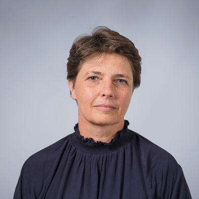 Description of the image