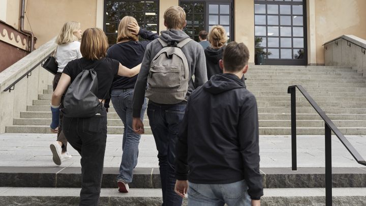 En grupp elever går uppför en trappa till en skolentré.