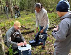 Grupp av studenter som arbetar tillsammans i skogen, omgiven av träd och vegetation.