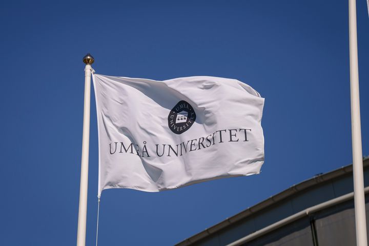 Flagga med Umeå universitets text och logotyp - Campus Umeå
