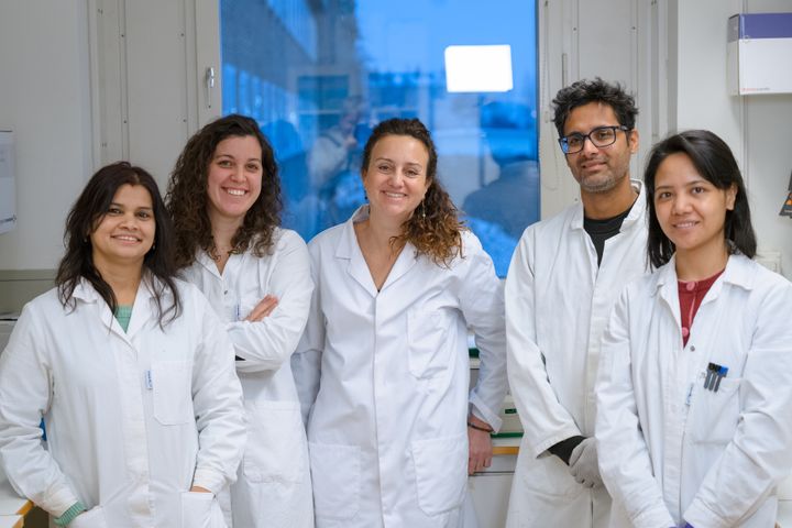 Forskning är ett lagarbete. Från vänster: postdoktor Kanchan Kumari, forskningsassistent Margalida Esteva, universitetslektor Francesca Aguilo, forskare Devi Bhattarai och postdoktor Poonam Baidya.