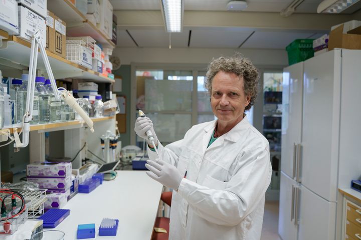 Robin Fåhraeus, professor på Institutionen för medicinsk biovetenskap vid Umeå universitet, i labbet.